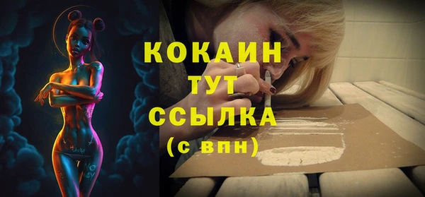 соль ск Абаза