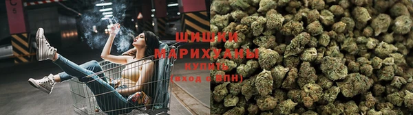 соль ск Абаза